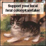 Care For Ferals Sign