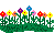 Tiny Garden 
Graphic