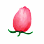 Animated Rose from Ulead