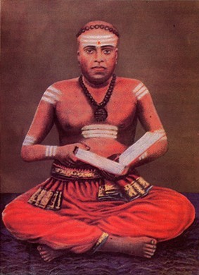 Arumuga Navalar