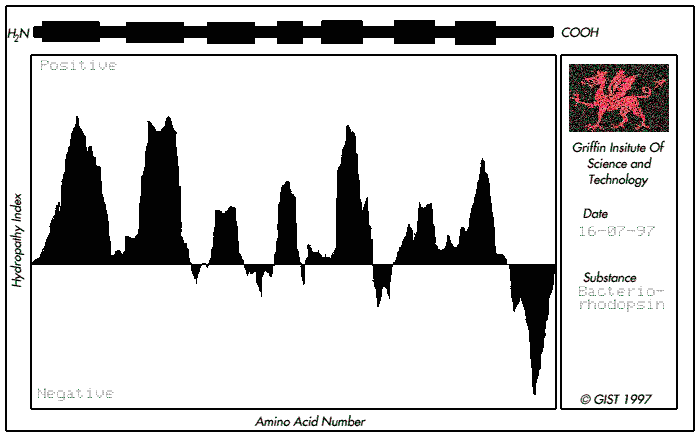 Another Hydropathy Plot