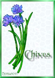 chives