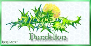 dandelion