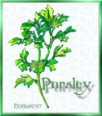 parsley