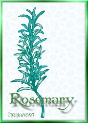 rosemary