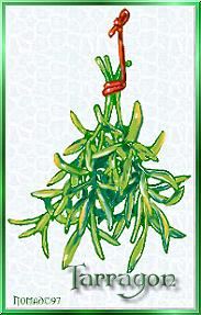 tarragon