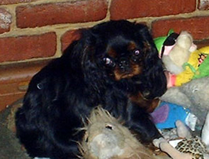 [Missy with some of her toys - 2001]