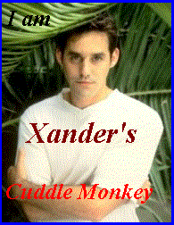 Xander's Cuddle Monkey. Adopt yours at Stakes Up!