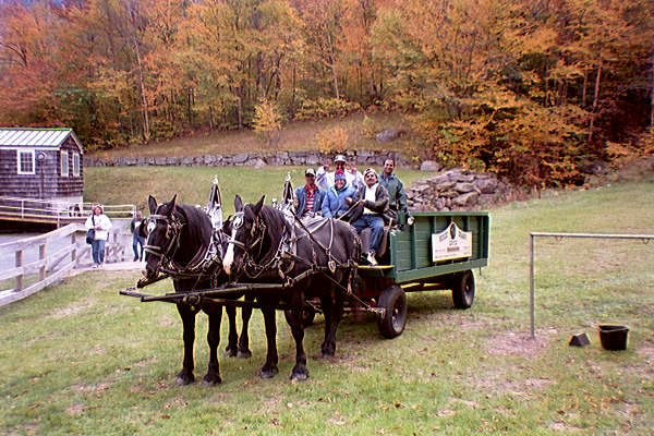 Horse Ride(Felt like bullock cart ride!!)