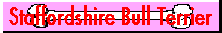 Staffordshire Bull Terrier