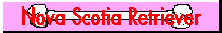 Nova Scotia Retriever