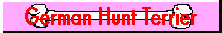 German Hunt Terrier
