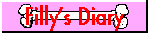 Filly's Diary