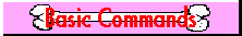 Basic Commands