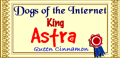 Dogs of the Internet