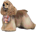 CockerSpaniel