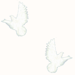 dove tile