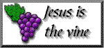 Jesus is the vine...