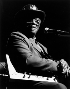 {Bo Diddley on stage pic}