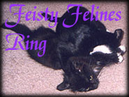Feisty Felines Ring