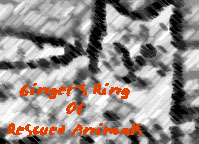 Join Ginger's Ring Of Rescued Animals
