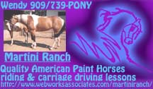 Martini Ranch Paint Horses