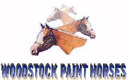 WOODSTOCK PAINT HORSES