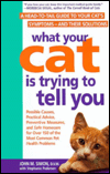 What your cat is trying to tell you