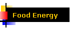 Food Energy