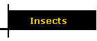 Insects