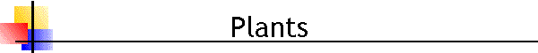 Plants