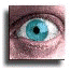 eye.gif (4426 bytes)