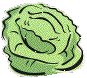 lettuce.gif (3778 bytes)