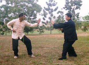 Tai Chi Chuan for play or combat?