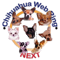 Next Chihuhaua Ring