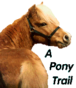 A Pony Trail Web Ring