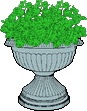 Potted Urn
