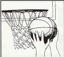 net and ball