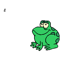 frog eats