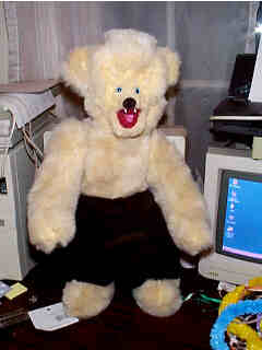 fifth completed bear... in slacks