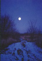 Moonstruck Road by Cheryl Lynne Bradley