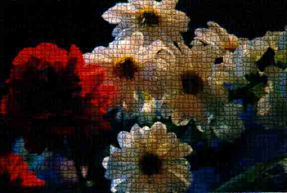 Carnation & Daisies by Cheryl Lynne Bradley