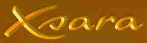 Xsara logo - gold on brown