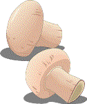 MUSHROOM.gif (5449 bytes)