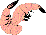 SHRIMPS2.gif (3984 bytes)