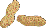 peanuts.gif (4188 bytes)