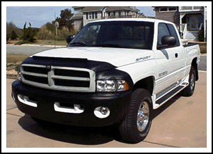 Ram with Bra in Place