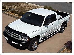 Ram with Bra and Bed Rails Shown