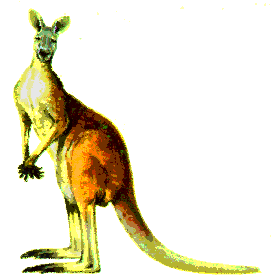 roo