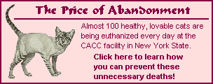 The Price of Abandonment
